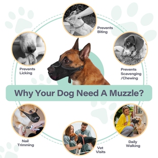 anti eating muzzle狗狗新款狗嘴套网眼透气狗狗口罩安全防勒狗嘴