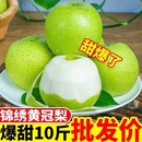 包邮 梨子新鲜绿皮皇冠梨青皮皇冠梨当季 水果皇冠梨带箱5斤9斤装