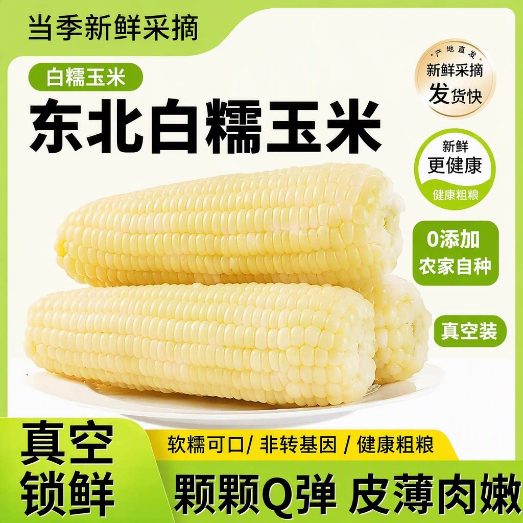 新鲜白糯玉米东北糯玉米棒真空非转基因10支装粗粮代餐黏苞米