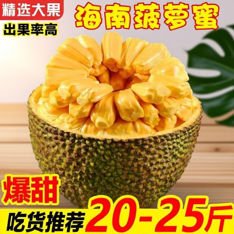 海南黄肉菠萝蜜一整个干包大果软糯香甜三亚现摘包邮新鲜水果生鲜,水产肉类/新鲜蔬果/熟食,菠萝蜜,淘宝优惠券,粉丝福利购,淘宝优惠卷