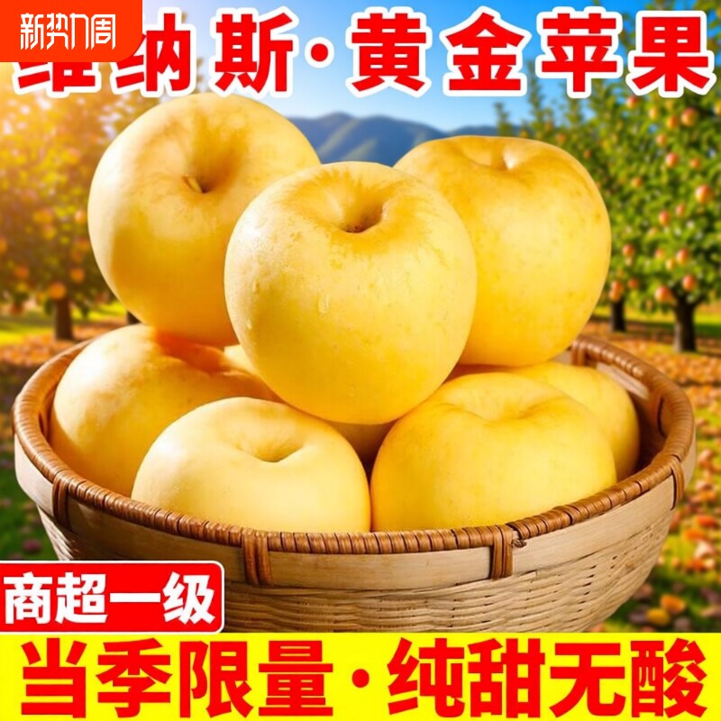 正宗山东维纳斯黄金苹果脆甜非黄元帅奶油富士丑新鲜当季苹果整箱