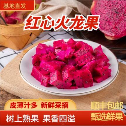 产地直发红心火龙果皮薄老人都爱吃顺丰包邮新鲜精选现摘鲜果大果