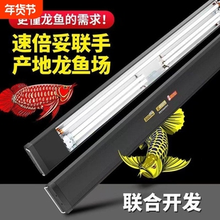 速倍妥霞光号龙鱼专用发色灯管鱼缸增艳灯观赏三基色T5全光谱防水
