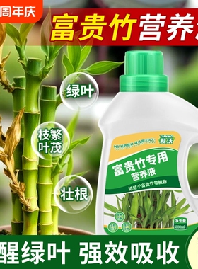 富贵竹专用营养液绿叶壮根转运竹节节高文昌竹水竹水培植物专用肥