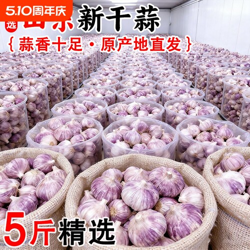 【今年新蒜】山东金乡紫皮新干蒜