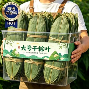 粽子叶粽叶干大号棕叶新鲜包粽子的竹叶子干粽叶商用箬叶批发材料