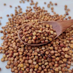 五谷杂粮甜荞麦苦荞麦种子红高粱大麦黑小麦燕麦青稞谷子小米水稻