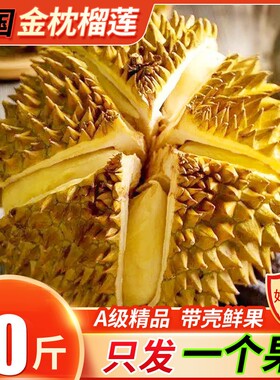 当季泰国进口正宗金枕榴莲水果鲜果顺丰包邮新鲜托曼尼冷冻现摘