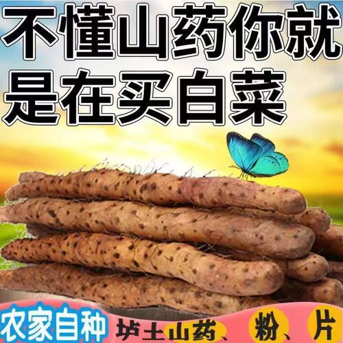 铁棍山药正宗垆土铁杆淮山农家小白嘴山药新鲜蔬菜非河南焦作温县