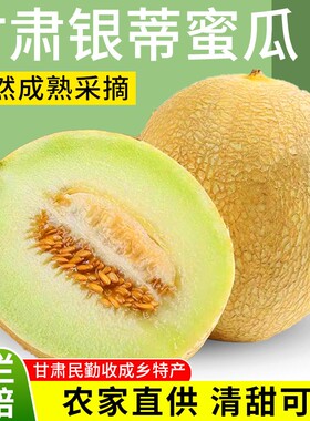 甘肃民勤沙漠网纹甜瓜银蒂白兰瓜蜜瓜薄皮兰州香瓜瓜州哈密瓜玉菇