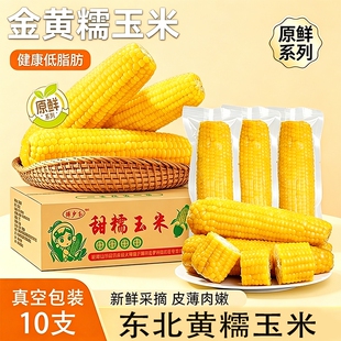 黄糯玉米新鲜采玉米软糯香甜东北苞米主食早餐代餐低脂真空装黄金