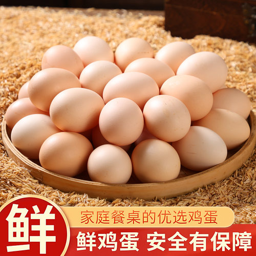 正宗谷饲鲜鸡蛋新鲜初生鸡蛋鲜鸡蛋笨鸡蛋粉壳鸡蛋生鸡蛋包邮发货