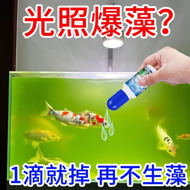 鱼缸除藻剂除绿水褐藻