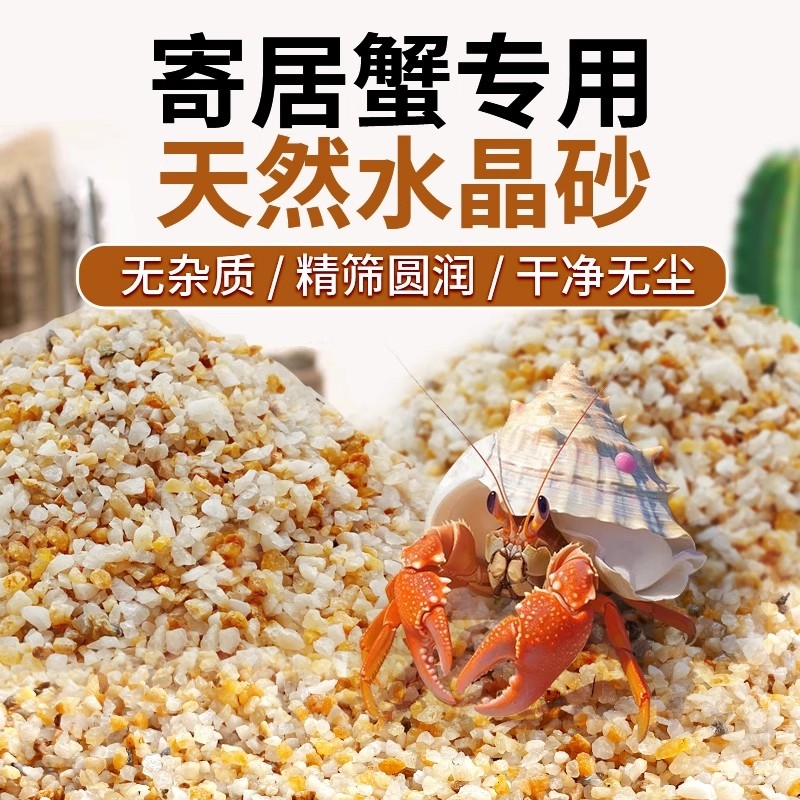 免洗海沙寄居蟹专用沙水草螃蟹底沙石乌龟纯天然鱼缸底砂造景饲养
