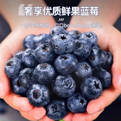 秘鲁进口新鲜蓝莓袋装多汁