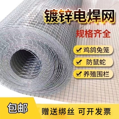 栅栏隔离网鸟兔围栏网防鼠镀锌钢丝网铁丝网养殖网防蛇防护窗户