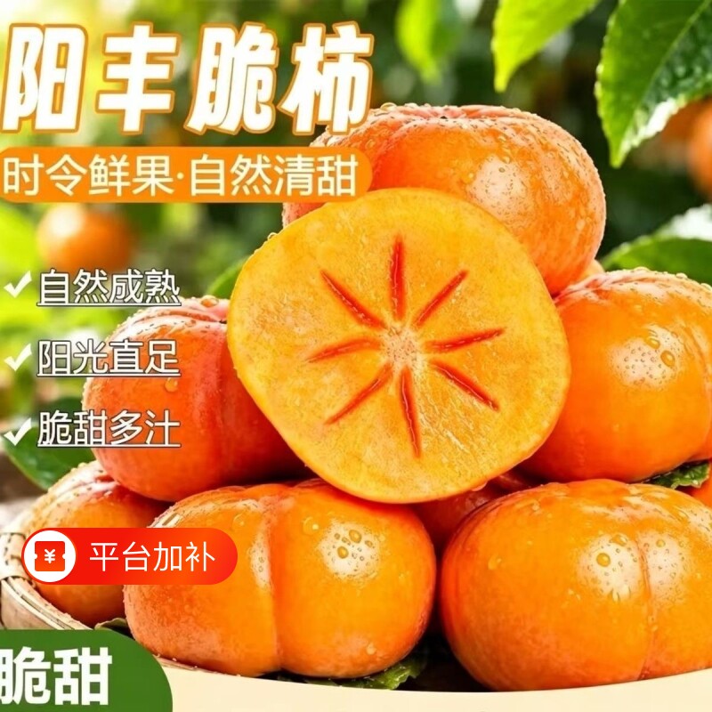 正宗阳丰巧克力脆柿新鲜采摘甜脆可口冰糖心精品脆柿子产地直达