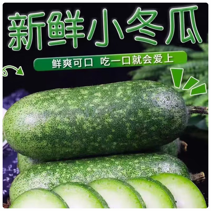 小米冬瓜小冬瓜迷你山东产地直发包邮新鲜自种采摘好吃