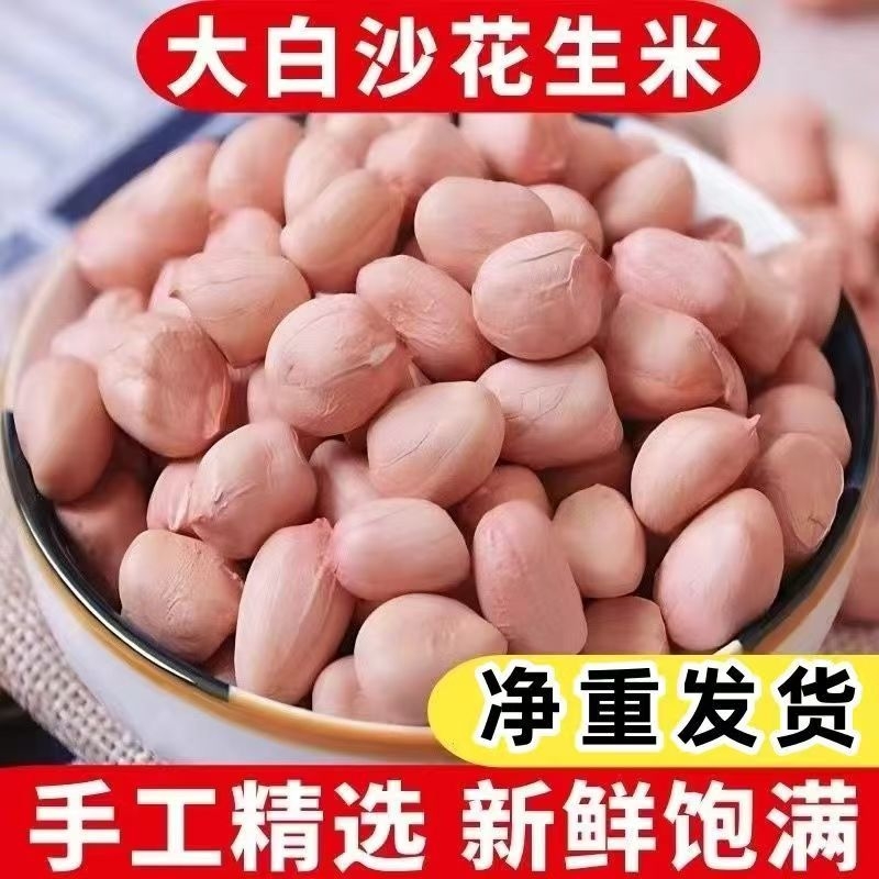 2025年大颗粒白沙花生米农家自产新鲜花生仁无壳精选圆粒
