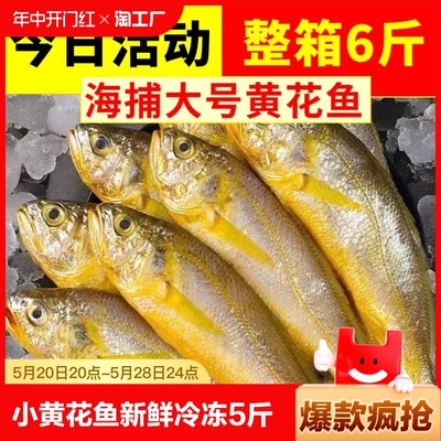 小黄花鱼新鲜冷冻5斤烧烤小黄鱼生鲜活海鱼海鲜整箱商用水产批发