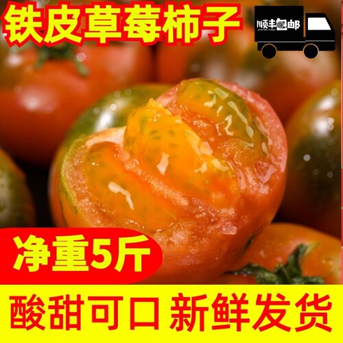 正宗丹东铁皮西红柿水果柿子碱地草莓西红柿自然吃水果新鲜番茄