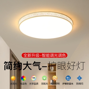 超薄LED吸顶灯小尺寸4050玄关灯走廊灯过道灯卫生间厨房阳台厕所