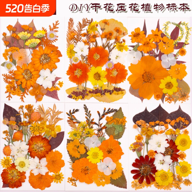干花压花diy押花真花压花真树叶标本画手工造型材料干花材料包