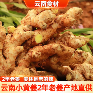 正宗云南新鲜小黄姜生姜干老姜嫩姜土姜子姜现挖高山沙姜