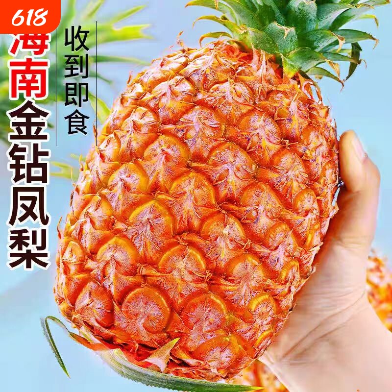正宗海南金钻凤梨热带新鲜水果当季超甜手撕无眼菠萝产地直发