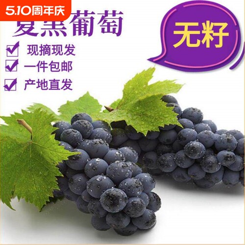云南夏黑葡萄无籽黑蜜整串蓝莓葡萄非巨峰葡萄时令新鲜水果好剥皮