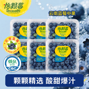 怡颗莓云南当季限量版蓝莓新鲜水果多汁中果125g/盒可食用大果