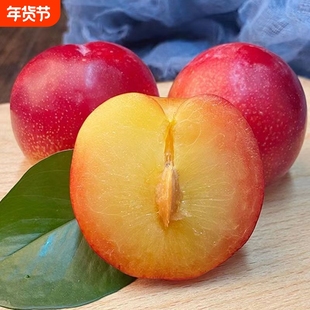 顺丰智利红恐龙蛋李子红心新鲜水果血丝孕妇大果