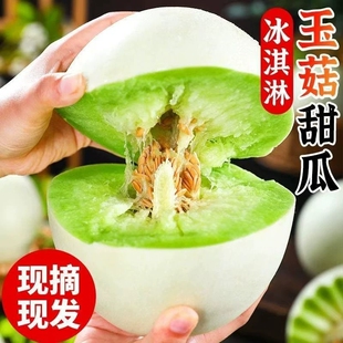 山正宗山东冰淇淋玉菇甜瓜新鲜水果当季香瓜蜜瓜冰激凌