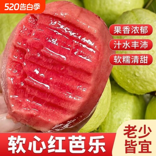 香软甜广西软心红心番石榴新鲜水果香软芭乐红软糯树上熟年货节