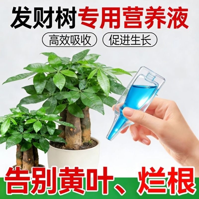 发财树专用营养液叶子发黄掉叶生根复活再生剂通用植物复合肥料