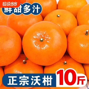【产地直发】正宗广西武鸣沃柑贵妃柑新鲜水果当季桔子橘子非无籽