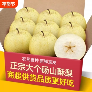 正宗砀山酥梨5-9斤梨应季水果脆甜多汁白梨皇包冠邮雪梨新鲜梨子