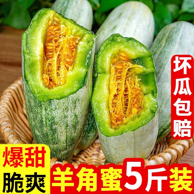 【天天特价】山东羊角蜜