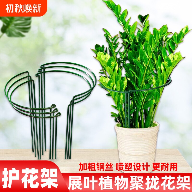 铁艺花架植物支撑半圆聚拢护叶架
