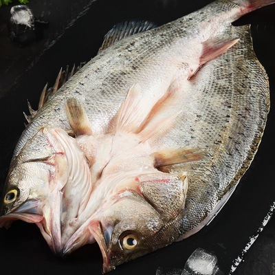 海鲈鱼开背新鲜冷冻鲜活深海鱼七星海卢鱼水产烤鱼450-500g/条*4