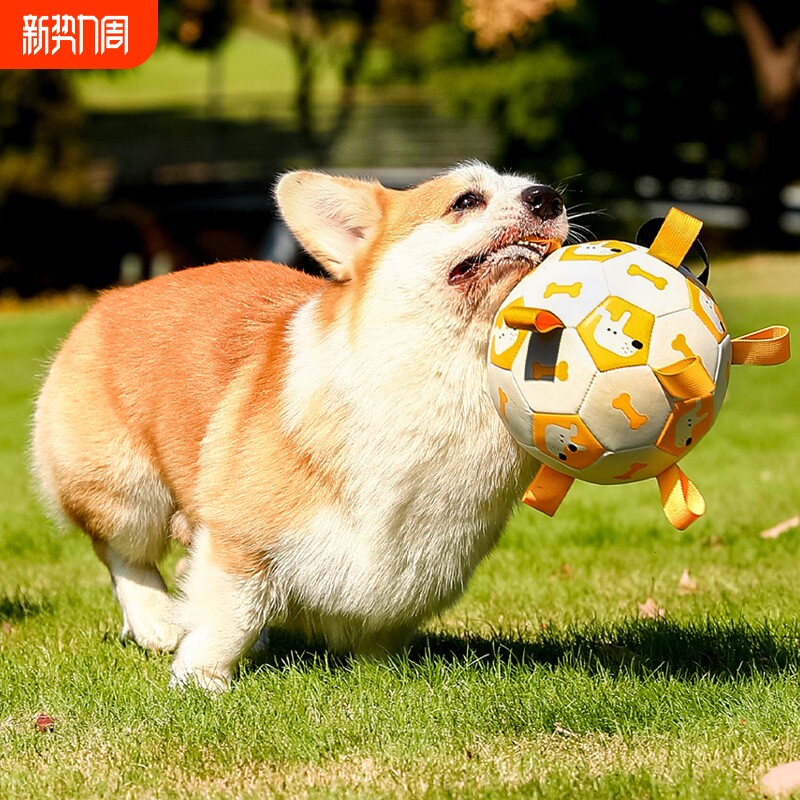 狗狗足球玩具耐咬磨牙边牧玩具训练专用狗球宠物自嗨解闷神器用品
