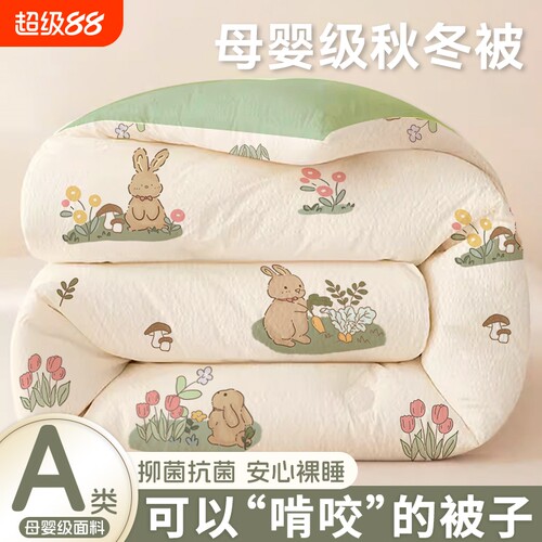 大豆填充四季通用棉被保暖