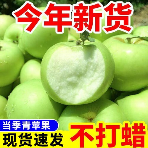 陕西青苹果新鲜水果当季现摘早熟绿小苹果酸脆甜整箱5斤包邮现货