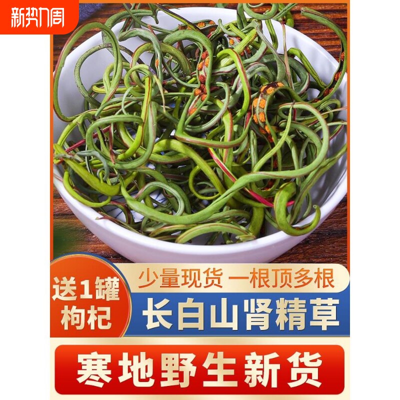 野生肾精茶草化石草肾经草黄金草嗷嗷叫滋补养生茶作用枸杞