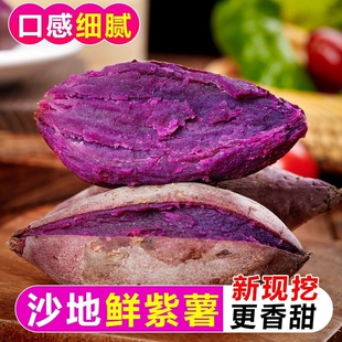 ɳ�������������������߲�����������Ŵ����ũ������������������
