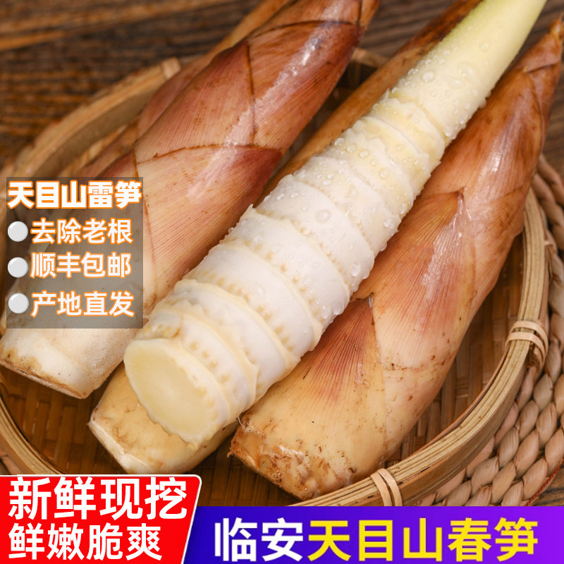【顺丰包邮】临安天目山雷笋新鲜现挖野生带壳春笋黄泥笋蔬菜竹笋