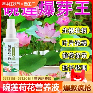 碗莲荷花营养液催芽促开花防黄叶叶面黑烂叶不开花水培绿植通用肥