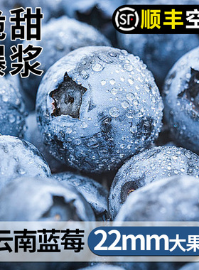 【顺丰空运】云南高山花香蓝莓L25型头茬鲜果高端水果大脆甜多汁