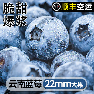 云南高山花香蓝莓L25型头茬鲜果高端水果大脆甜多汁 顺丰空运