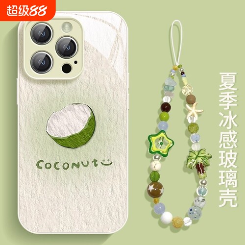 创意防摔个性风油画椰子壳